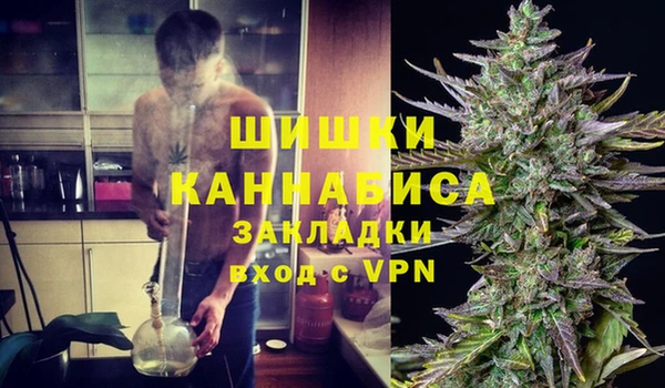 гидра Белоозёрский