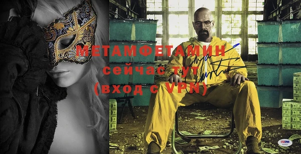 молекула духа Богданович