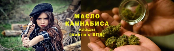 молекула духа Богданович