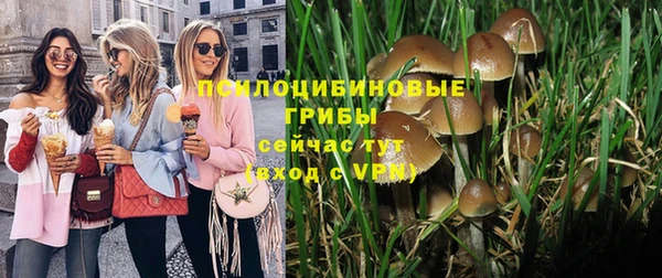 молекула духа Богданович