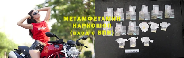молекула духа Богданович