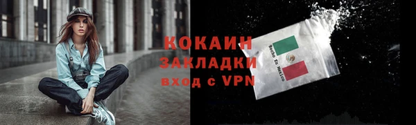 молекула духа Богданович