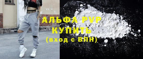 спиды Богородск