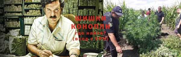 МДМА Снежногорск