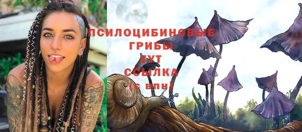 ALPHA-PVP Богородицк