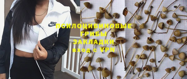 гидра Белокуриха