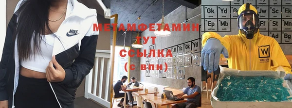 молекула духа Богданович