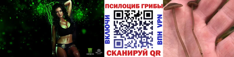 Псилоцибиновые грибы прущие грибы  Верхотурье 